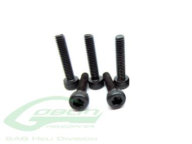 SOCKET HEAD CAP SCREW M 2,5 X 8mm - All Goblins