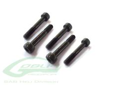 Head Cap Screw M2.5x15 (5pcs) - Goblin 380,420 500
