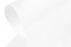 KAVAN cover-  white